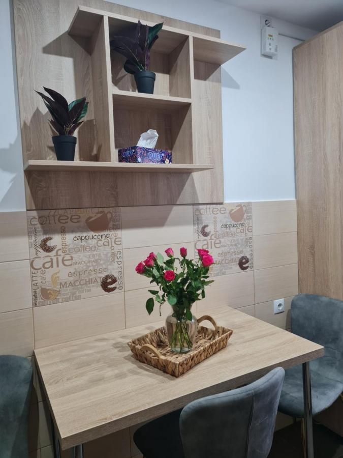 Apartament Modern Cristina&Jessica Mediaş Exterior foto