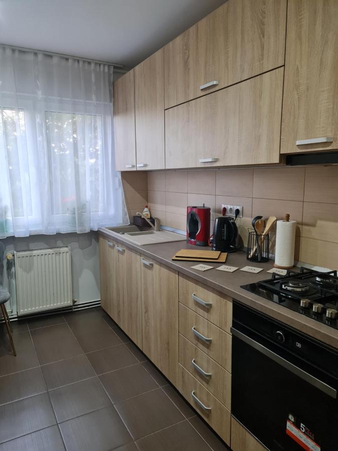Apartament Modern Cristina&Jessica Mediaş Exterior foto