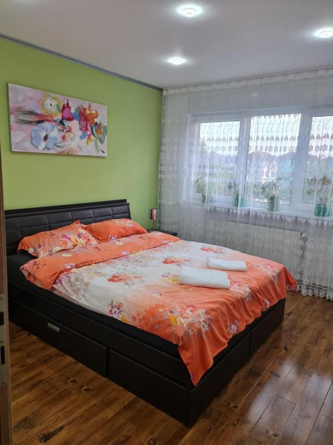 Apartament Modern Cristina&Jessica Mediaş Exterior foto